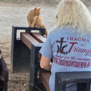 Trauma to Triumph (Tshirt)