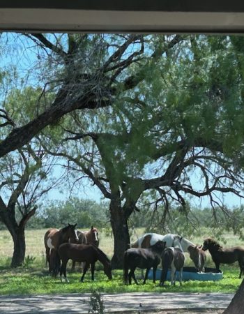 847dbdab443b48a6821deb4798425b64